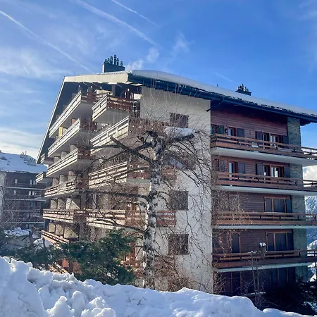 Alpine - & Swimming Pool * Nendaz